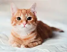 巴特勒球队席_山东冲上热搜(热火巴特勒最新消息) 巴特勒球队席_山东冲上热搜(热火巴特勒最新消息)